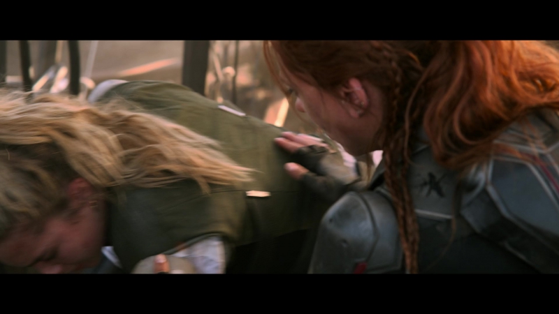 blackwidow28202129_8422.jpg