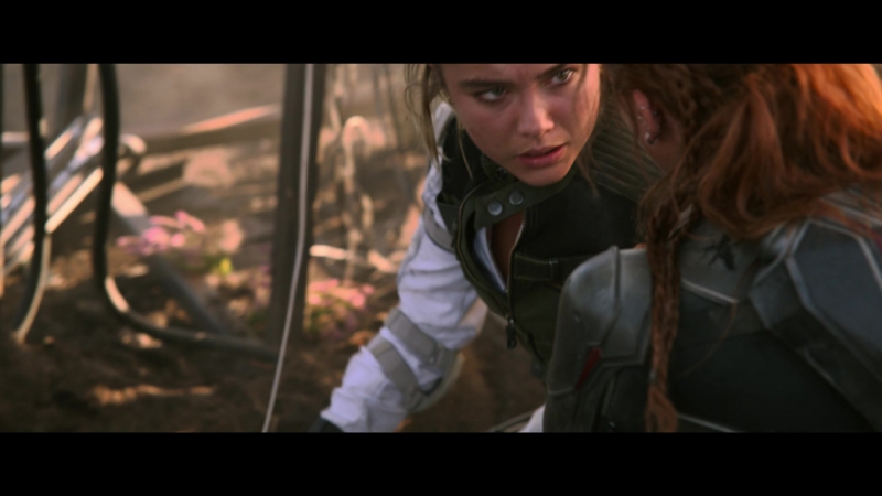 blackwidow28202129_8423.jpg
