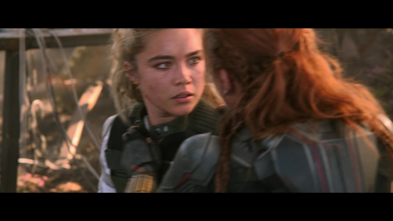 blackwidow28202129_8424.jpg
