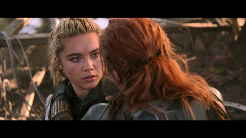 blackwidow28202129_8425.jpg