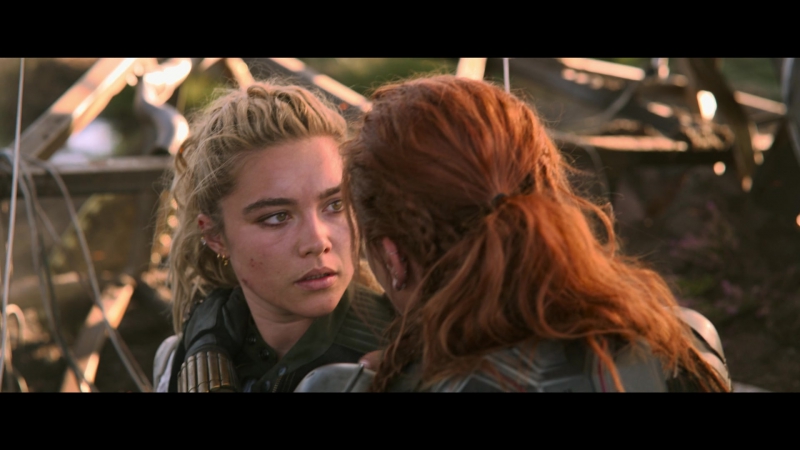 blackwidow28202129_8426.jpg
