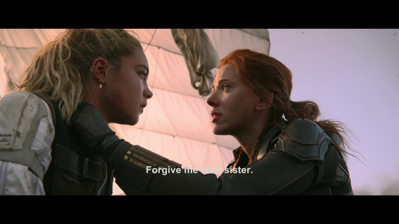 blackwidow28202129_8427.jpg
