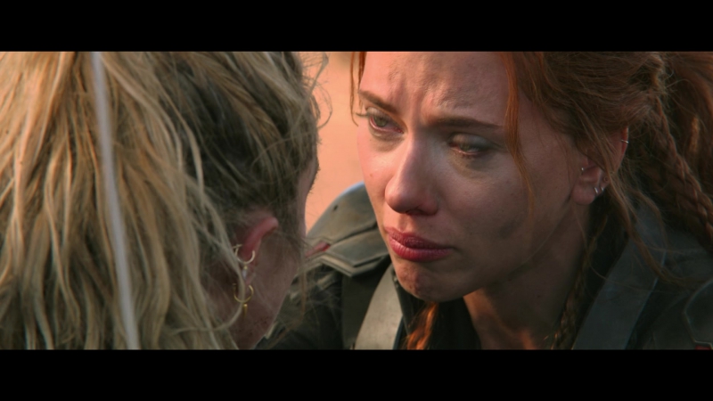 blackwidow28202129_8433.jpg