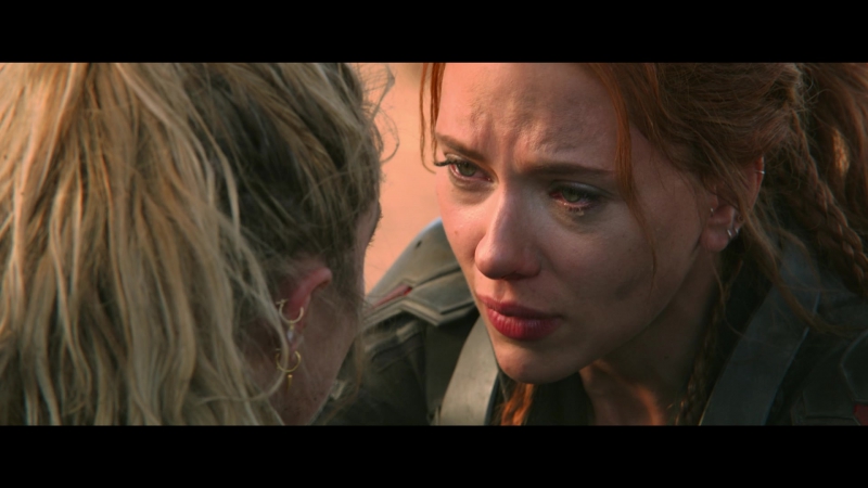 blackwidow28202129_8434.jpg