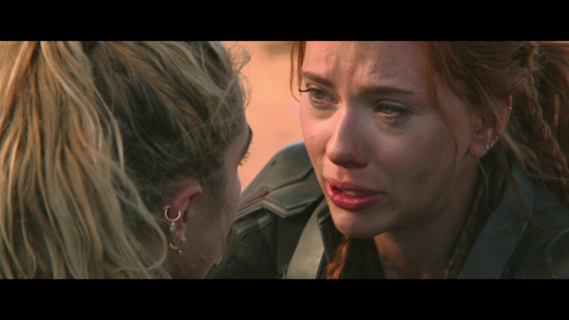 blackwidow28202129_8436.jpg