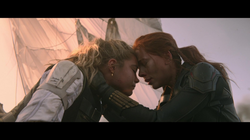 blackwidow28202129_8454.jpg