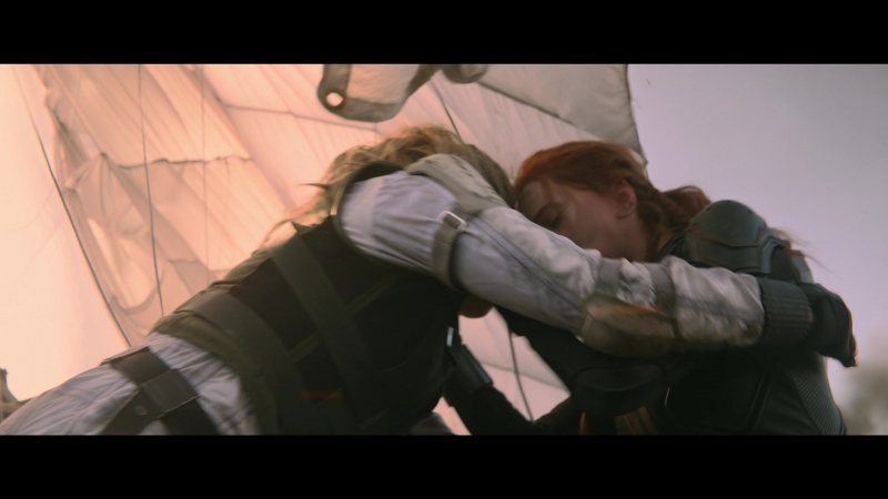 blackwidow28202129_8455.jpg