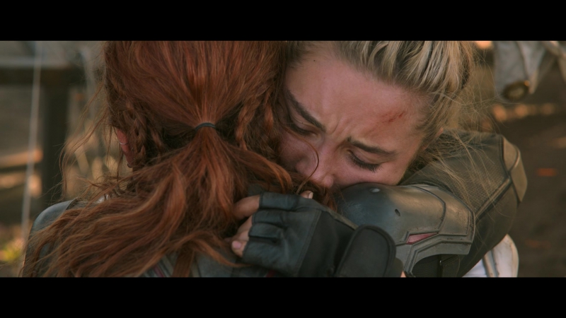 blackwidow28202129_8461.jpg