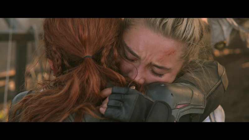blackwidow28202129_8462.jpg