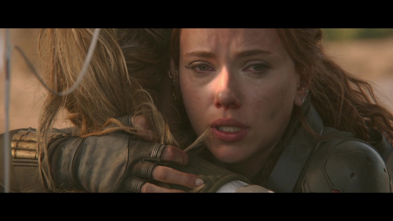 blackwidow28202129_8465.jpg