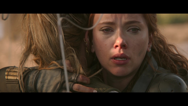 blackwidow28202129_8466.jpg