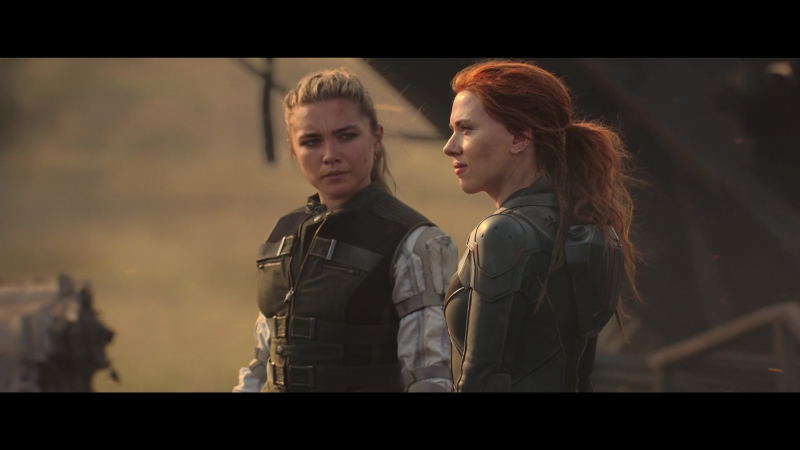 blackwidow28202129_8484.jpg