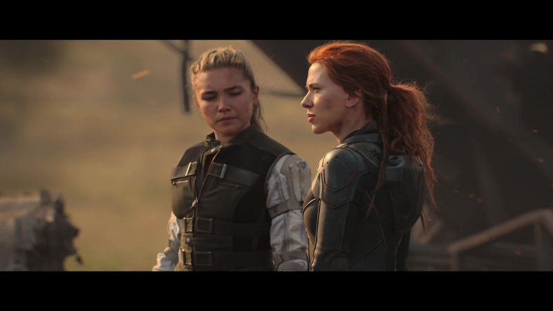 blackwidow28202129_8485.jpg