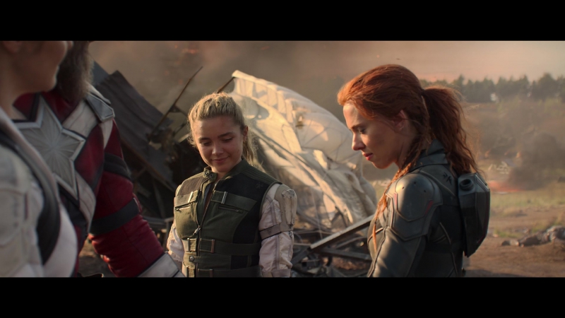 blackwidow28202129_8495.jpg