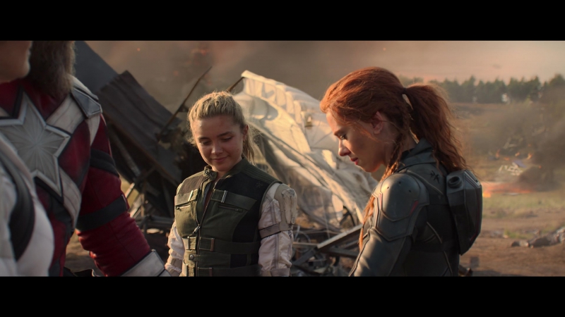 blackwidow28202129_8496.jpg
