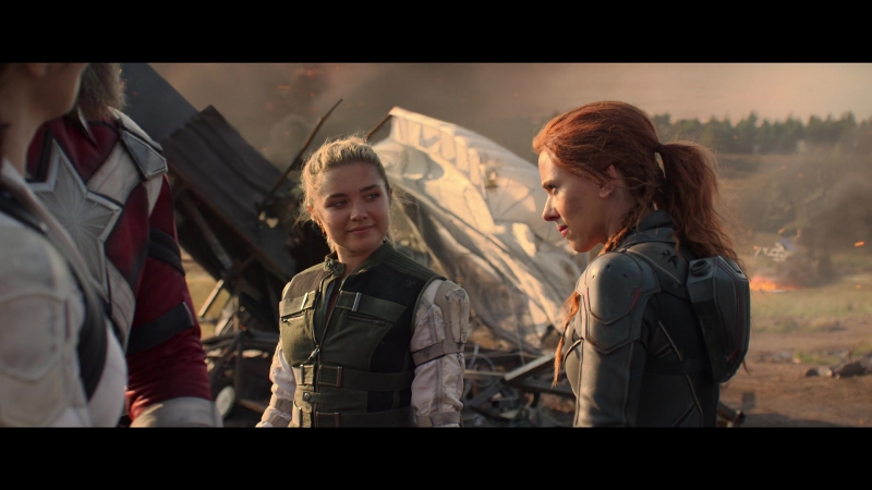blackwidow28202129_8504.jpg