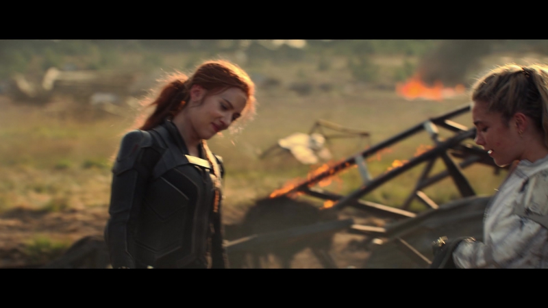 blackwidow28202129_8550.jpg