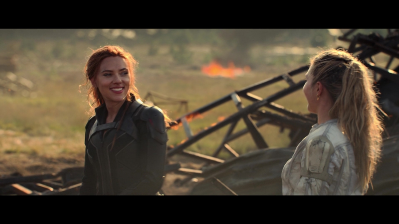 blackwidow28202129_8554.jpg