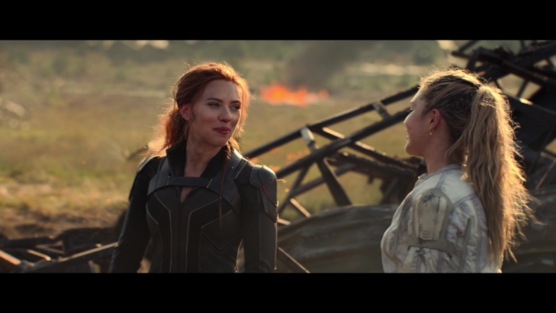 blackwidow28202129_8555.jpg