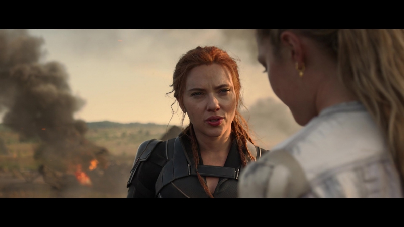 blackwidow28202129_8560.jpg