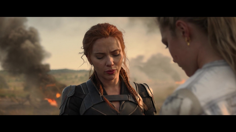 blackwidow28202129_8561.jpg