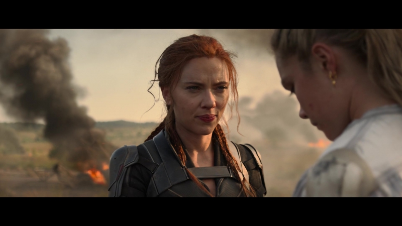 blackwidow28202129_8562.jpg