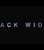 blackwidow28202129_0908.jpg