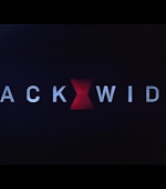 blackwidow28202129_0909.jpg
