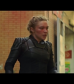 blackwidow28202129_1399.jpg