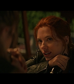 blackwidow28202129_3595.jpg