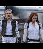 blackwidow28202129_4671.jpg