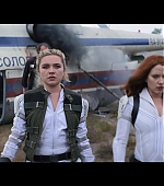 blackwidow28202129_4672.jpg