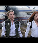blackwidow28202129_4673.jpg