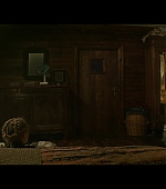 Filename=blackwidow28202129_5952.jpg
Filesize=154KiB
Dimensions=1920x1080
Date added=Feb 22, 2024 blackwidow28202129_5952.jpg