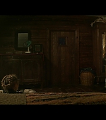 Filename=blackwidow28202129_5956.jpg
Filesize=152KiB
Dimensions=1920x1080
Date added=Feb 22, 2024 blackwidow28202129_5956.jpg