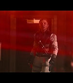 blackwidow28202129_7702.jpg