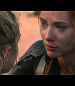 blackwidow28202129_8443.jpg
