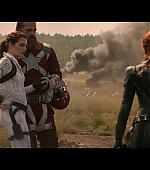 blackwidow28202129_8478.jpg