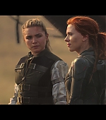 blackwidow28202129_8484.jpg
