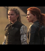 blackwidow28202129_8486.jpg