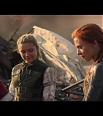 blackwidow28202129_8495.jpg