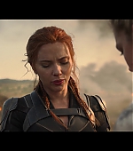 blackwidow28202129_8561.jpg