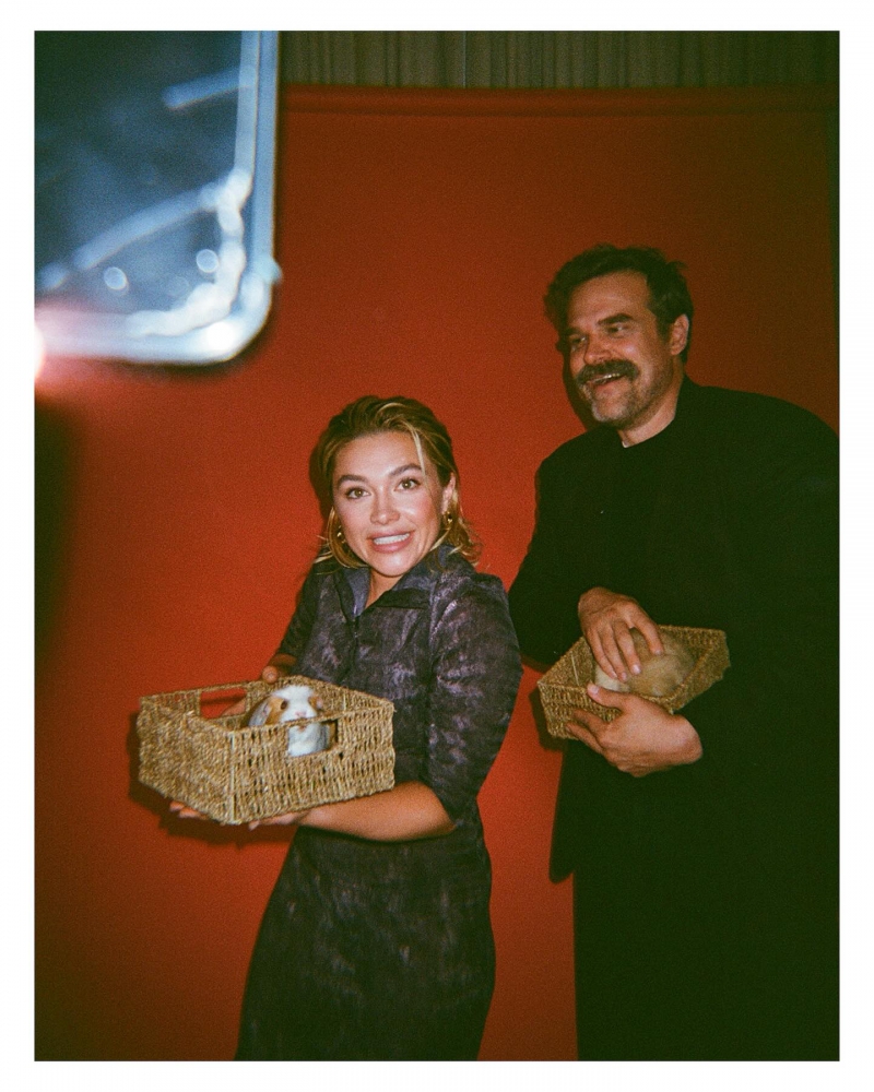 [@kategilljournalist]
