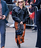 Filename=FPBR159.JPG
Filesize=2752KiB
Dimensions=2000x3000
Date added=Mar 26, 2023 FPBR159.JPG