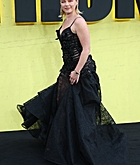 Filename=FPBR0898.jpg
Filesize=2047KiB
Dimensions=2000x3000
Date added=May 02, 2025 FPBR0898.jpg