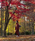 Filename=FPBR1088.jpg
Filesize=1018KiB
Dimensions=1920x800
Date added=May 09, 2023 FPBR1088.jpg