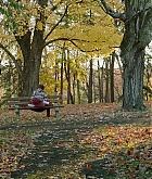 FPBR1328.jpg