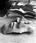 FPBR004.jpg