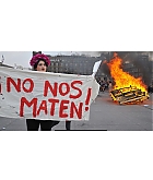 Filename=FPBR029.jpg
Filesize=319KiB
Dimensions=1440x1440
Date added=Mar 24, 2023 FPBR029.jpg