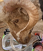 Filename=FPBR140.jpg
Filesize=991KiB
Dimensions=1440x1800
Date added=Apr 05, 2024 FPBR140.jpg